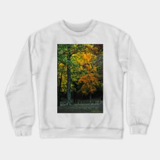 Murphysboro Lake (9) Crewneck Sweatshirt